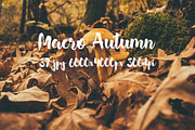 Macro Autumn photo bundle, a Templates & Theme by ApertureVintage (Thumbnail 20 of 21)