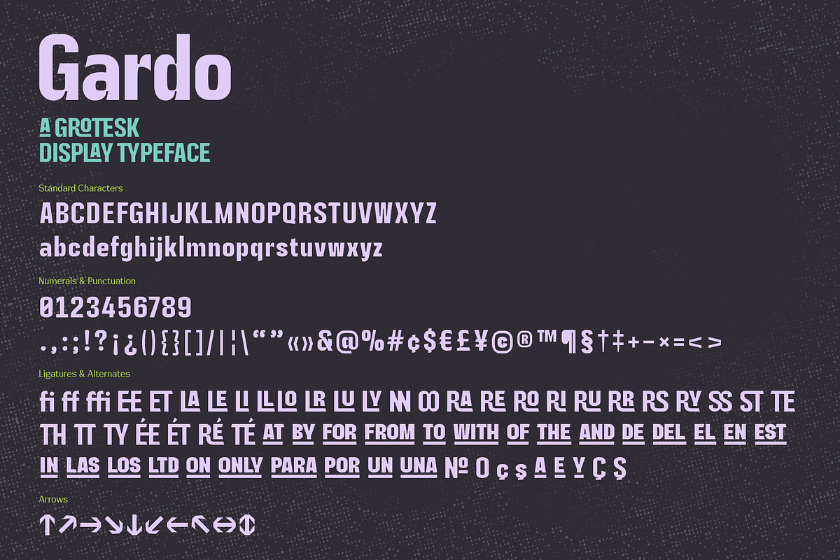 Gardo Grotesk | A Display Sans, a Sans Serif Font by Ayca Atalay (Photo 10 of 10)