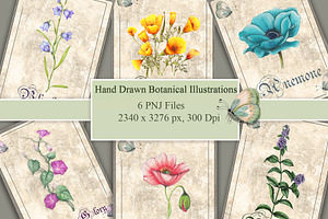 Vintage Style Botanical Cards, an Illustration by Arevka