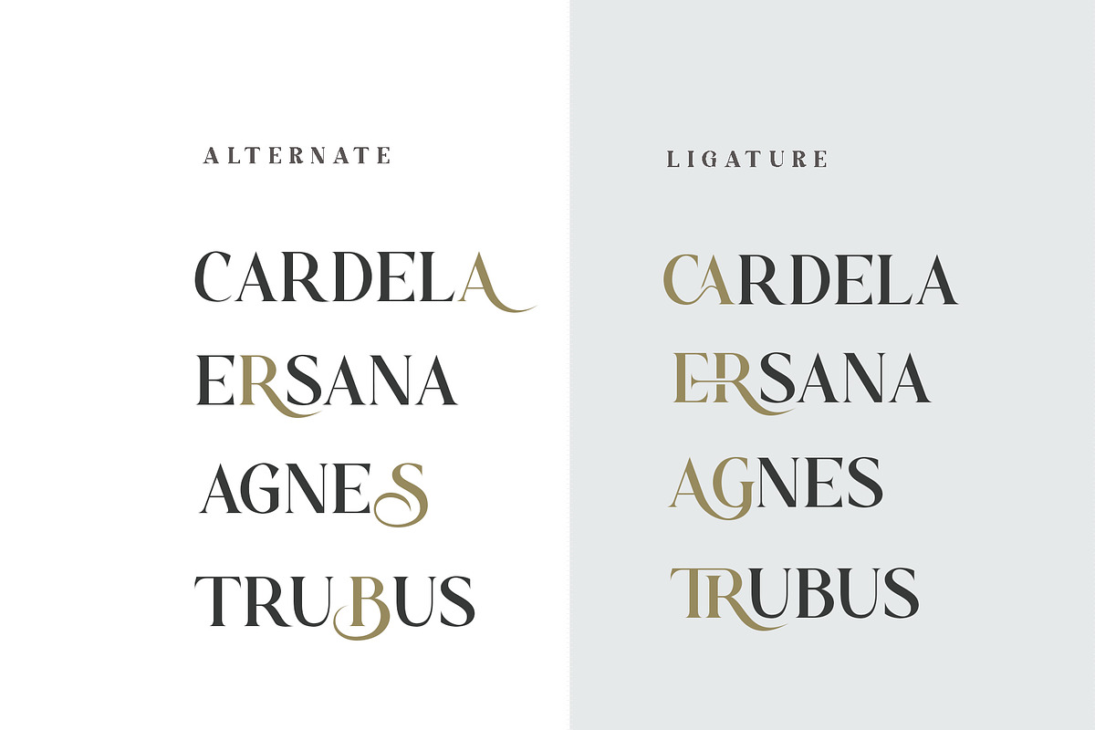 Bezoria - Elegant Serif Font, a Sans Serif Font by RHD Creative Studio (Photo 2 of 9)