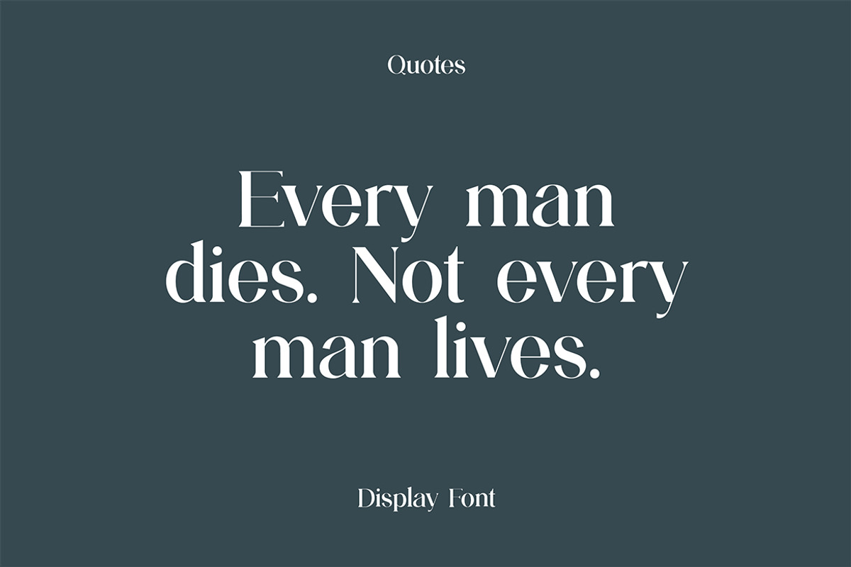 Liquefier Elegant Serif Font, a Serif Font by UICreative (Photo 9 of 13)