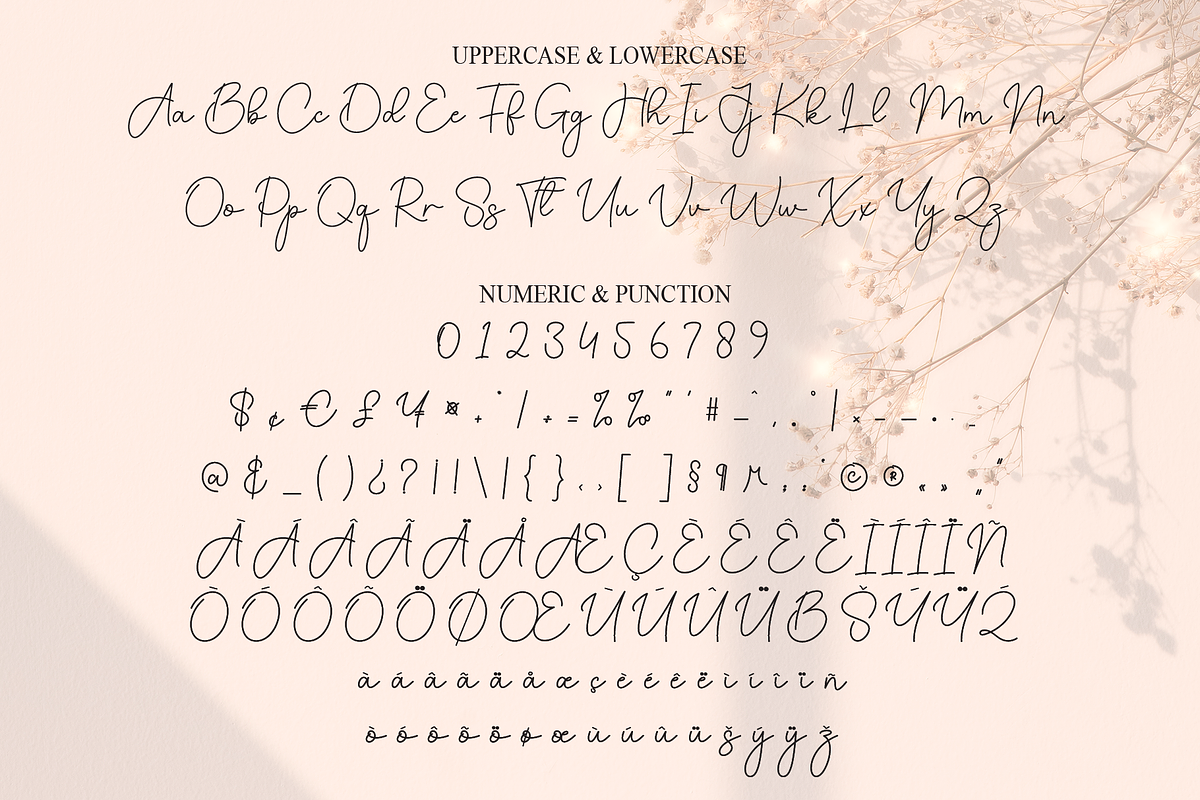 Adelya | Script Font, a Handwritten Font by Scratchones (Photo 7 of 9)