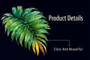 Watercolor Tropical Leaves Clipart, a Seasonal Illustration by RobertsArt (Thumbnail 5 of 7)