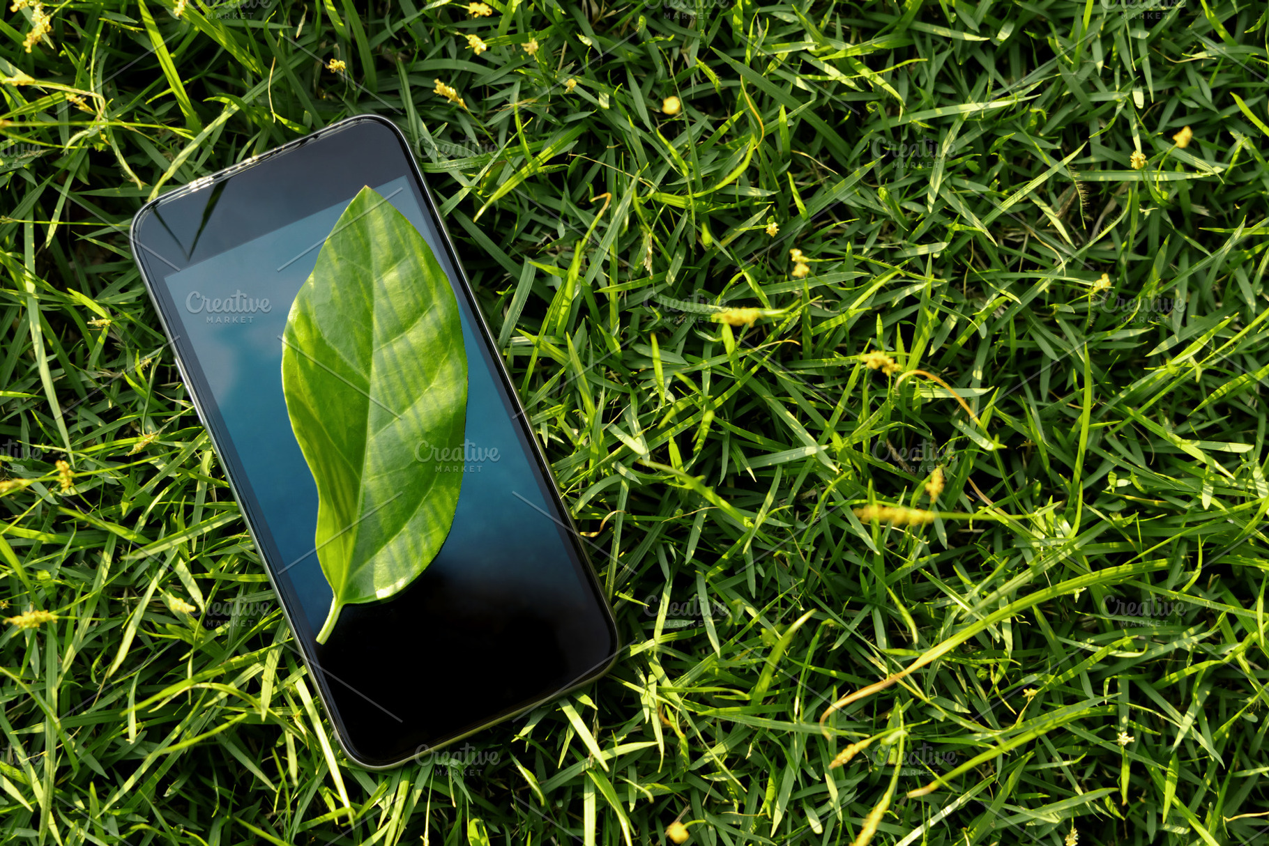 Smartphone on grass with a leaf .digital wellbeing, reconnecting, a Photo by salmon.black