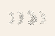 Hand drawn foliage collection, a Decorative Illustration by Merfin (Thumbnail 5 of 5)