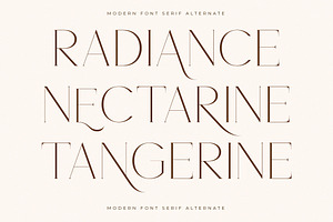 Noracle Modern Font Serif Alternate