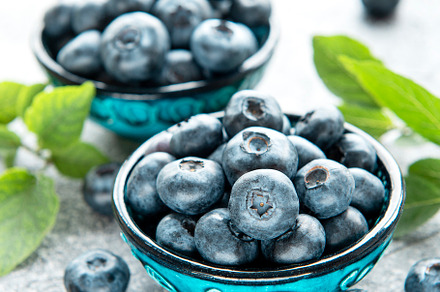 Freshly picked blueberries, a Food & Drink Photo by Olena Rudo