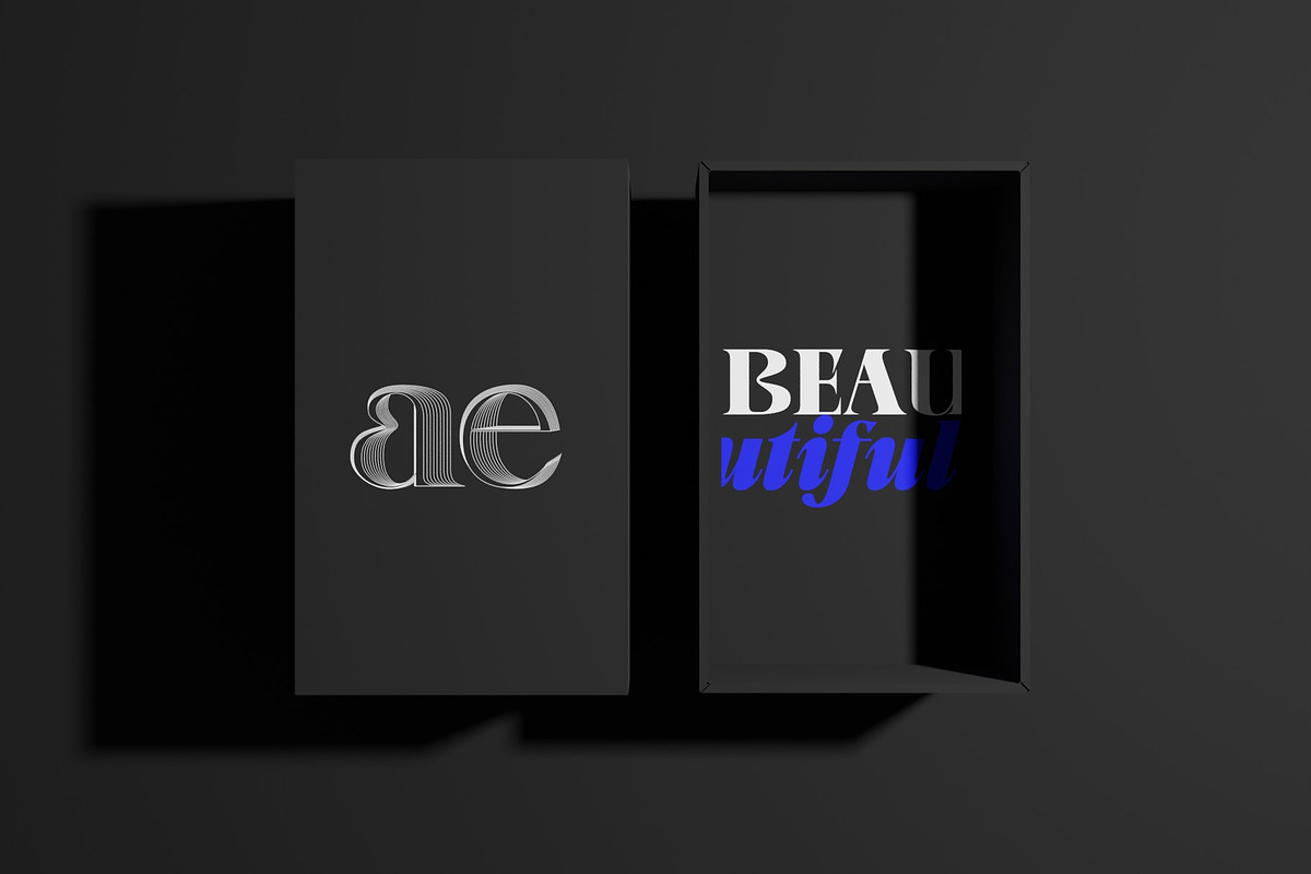 BeOkay Display Serif, a Serif Font by Ryul Davidson (Photo 13 of 17)