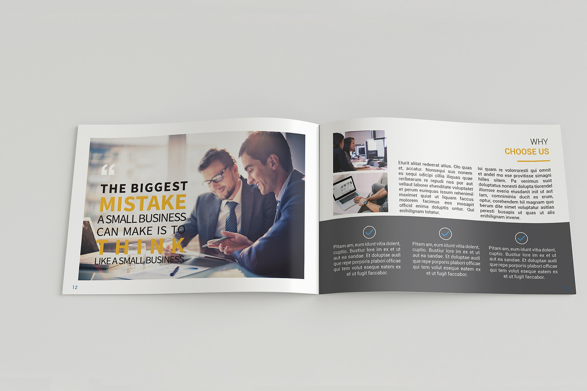 A5 Professional Brochure, a Brochure Template by BoriesBechker (Photo 8 of 11)