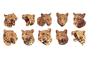 Leopard portrait. Roar big cat head, an Animal Illustration by Stock-Smart-Start
