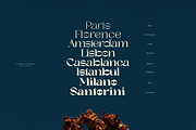 SNS Charis Font Family, a Serif Font by Sans & Sons (Thumbnail 2 of 10)