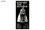 Hulbert Hopper Display, a Serif Font by Glyphofik x GudPap (Thumbnail 4 of 9)
