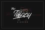 Berliana Monoline + Extrass, a Script Font by junartmosphere (Thumbnail 3 of 10)