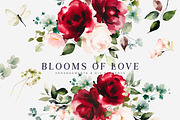 Watercolor Burgundy Blush Flowers, a Decorative Illustration by Patishop Art (Thumbnail 1 of 8)