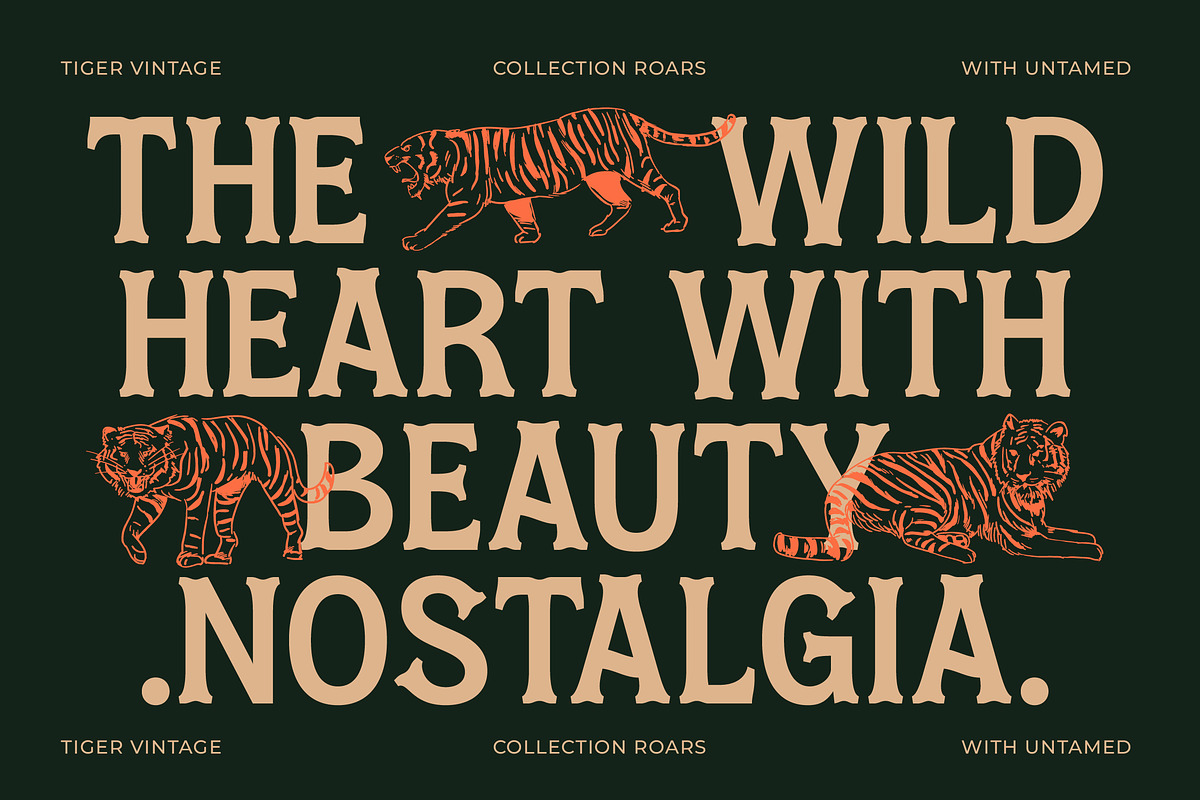 Locatro Western Display Serif, a Serif Font by timelesstype.co (Photo 3 of 15)