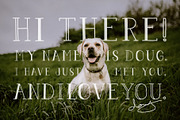 Pigeon Scout Font Collection, a Sans Serif Font by Hatch Design Workshop (Thumbnail 6 of 7)