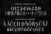 Better Authentic - Absonstype, a Serif Font by Absonstype (Thumbnail 10 of 12)