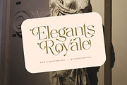 Agiantie | Elegant Tall Serif, a Serif Font by timelesstype.co (Thumbnail 11 of 20)