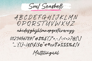 Soul Seashell - Brush Font