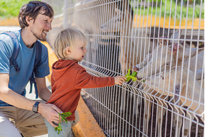 Father and his son feeding deer on a, an Animal Photo by Elizaveta Galitskaya