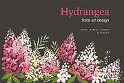 Hydrangea Floral art design, an Object Graphic by yana.tasha (Thumbnail 1 of 9)