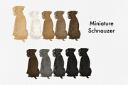 Watercolor Small Dog Breeds Vol 2, an Animal Illustration by ColorfulPT (Thumbnail 4 of 8)