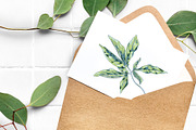 Tropical Leaf Clip Art, an Illustration by Ania Illustration (Thumbnail 3 of 6)