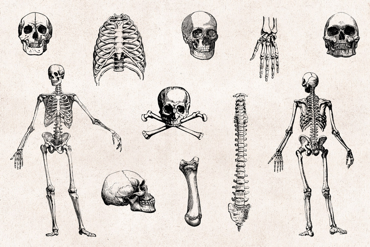 11 Skulls & Bones Illustration Set, an Illustration by Graphic Goods (Photo 4 of 4)
