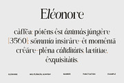 Eléonore – Serif Font for Branding, a Serif Font by Inviline.co (Thumbnail 4 of 15)
