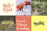 Salitia - 6 Font and Swash, a Serif Font by Dharmas Foundry (Thumbnail 10 of 16)