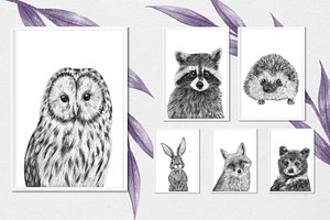 Forest Animals Portraits