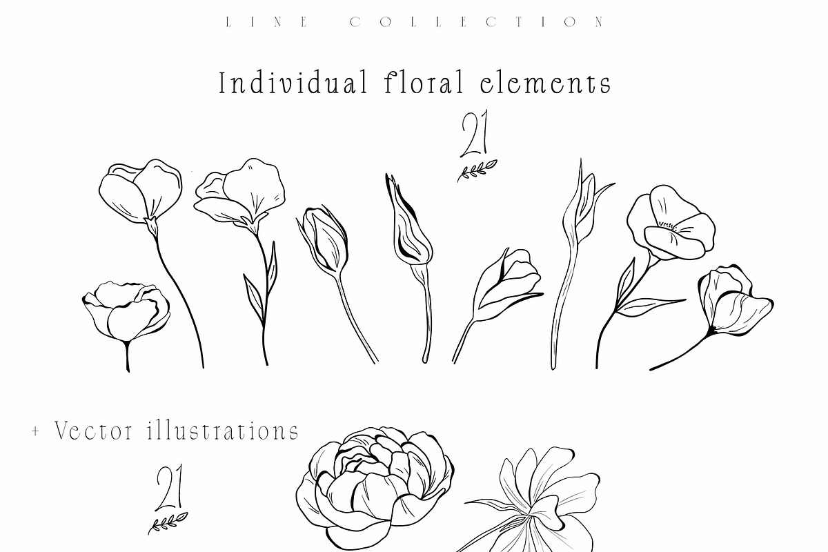 Meadow Wildflower Line Art Bundle, a Decorative Illustration by Sunshine Art (Photo 16 of 18)
