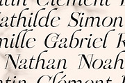 OGNES - Modern Ligature Serif Font, a Serif Font by SilverStag Type Foundry (Thumbnail 3 of 9)
