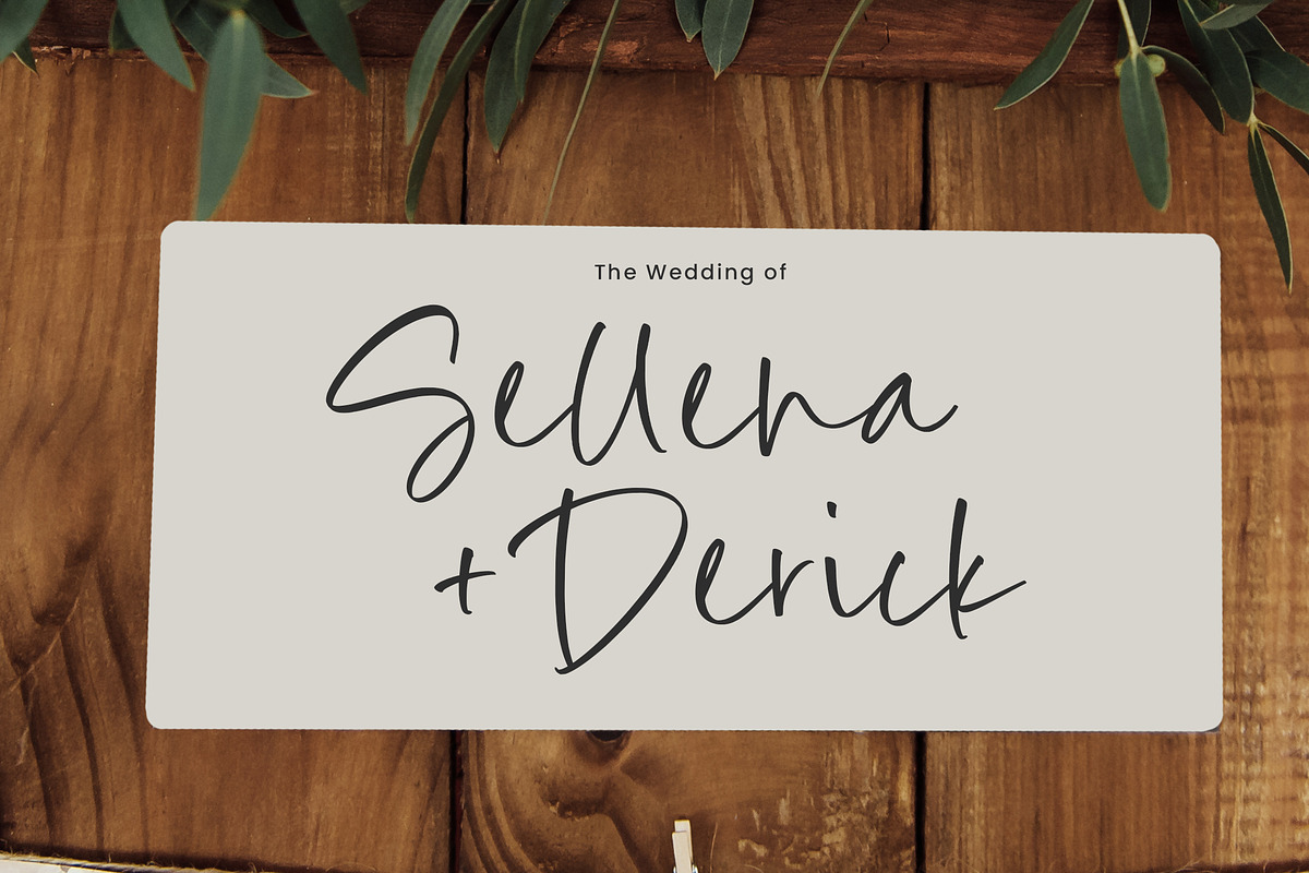 Apricote Smoothie Font, a Script Font by Timurtype (Photo 4 of 7)