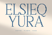 CS Reggie Disco, a Serif Font by Craft Supply Co. (Thumbnail 4 of 8)