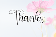 Beautiful | Script Font, a Handwritten Font by Scratchones (Thumbnail 9 of 9)