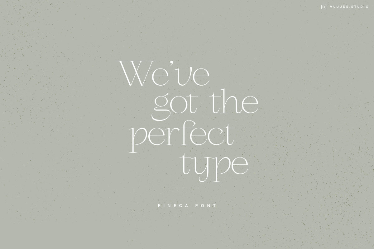 Fineca, a Serif Font by vuuuds (Photo 4 of 10)