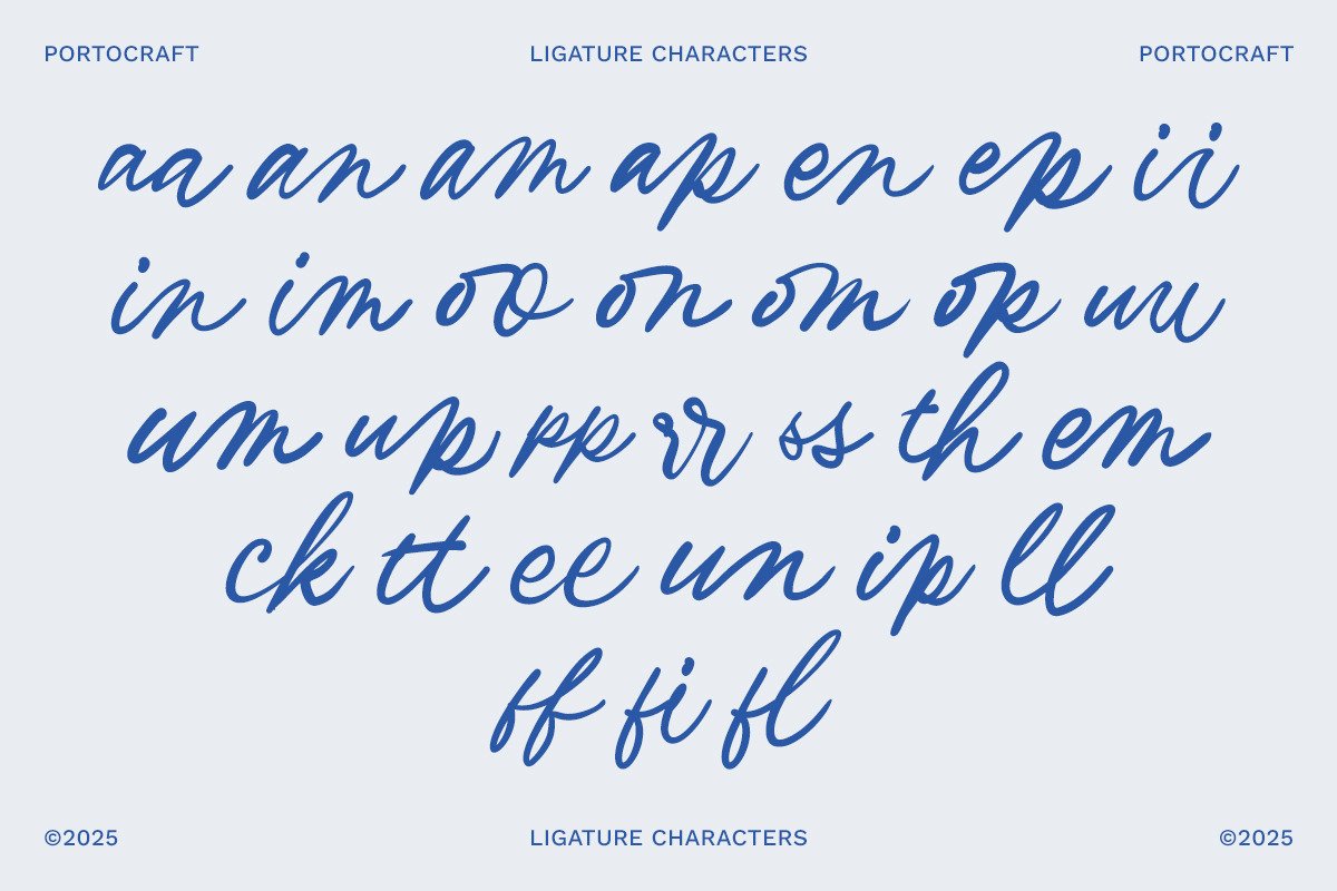 Atterra Script Handwritten, a Handwritten Font by Portocraft (Photo 12 of 18)