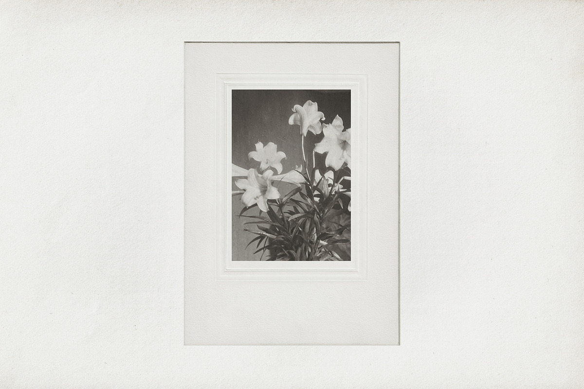 Vintage Scan Borders And Textures⸻2, a Texture Graphic by Studio Viita (Photo 3 of 7)