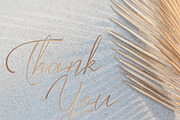 Bestia | Signature Font, a Script Font by Denustudios (Thumbnail 14 of 14)