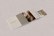 Gemini Affinity Publisher Brochure, a Brochure Template by SlideStation (Thumbnail 2 of 8)
