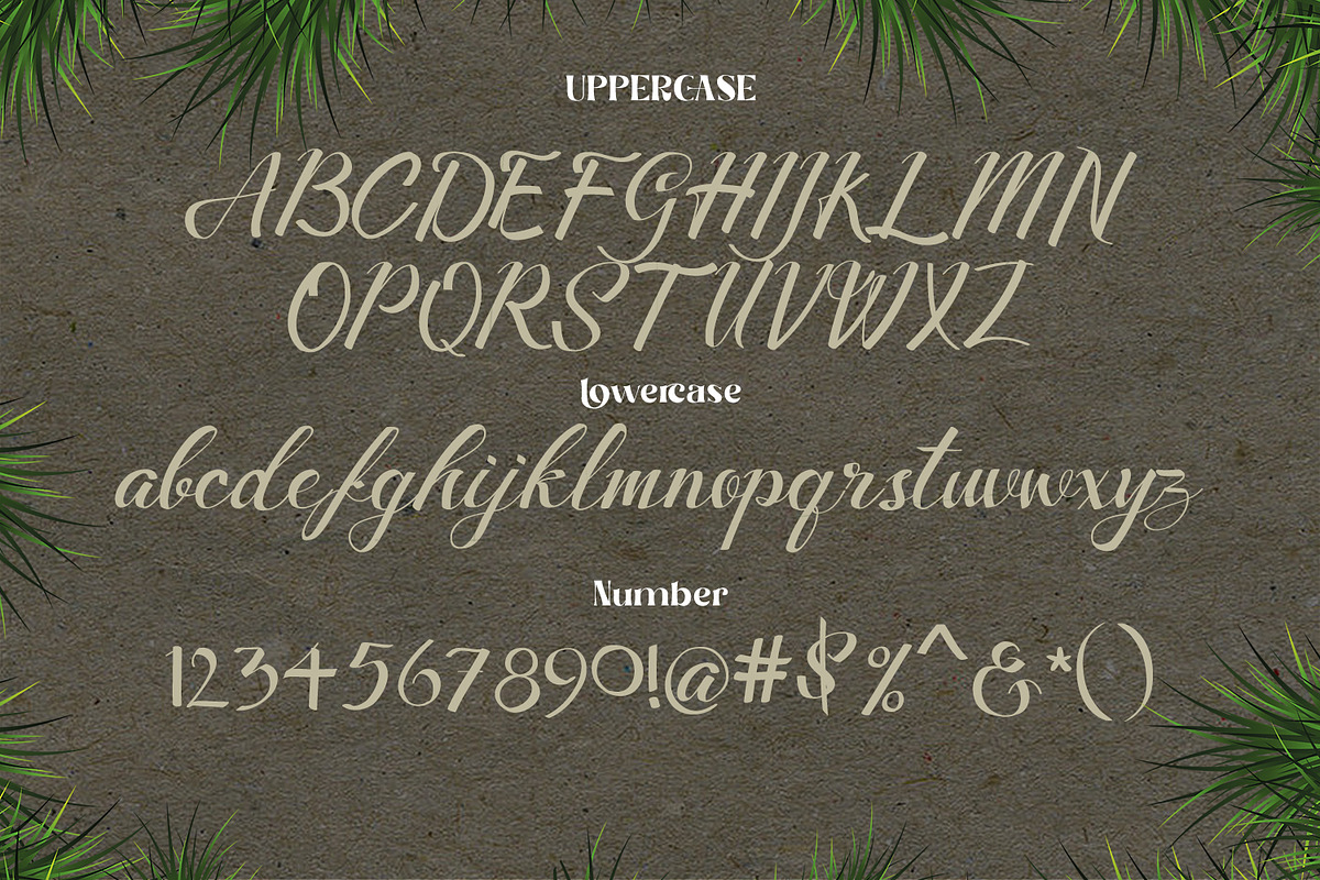 Merthy Script preview 5
