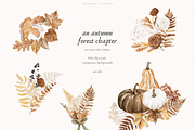 An Autumn Forest Chapter Collection, an Animal Illustration by PeDe Designs (Thumbnail 15 of 29)