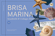 BRISA MARINA Seashells & Collage, an Object Graphic by Desert Poetic (Thumbnail 1 of 5)