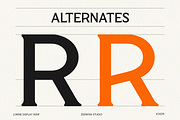 Lorine, a Serif Font by zeenesia (Thumbnail 14 of 14)