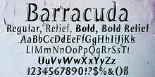 Barracuda