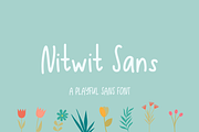 Nitwit Sans, a Sans Serif Font by Beck McCormick (Thumbnail 1 of 10)