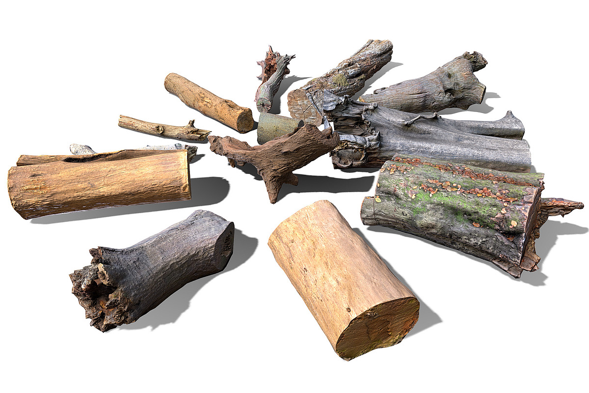 13 Tree Logs, an Environmental 3D Model by Beatheart Creative Studio (Photo 15 of 37)