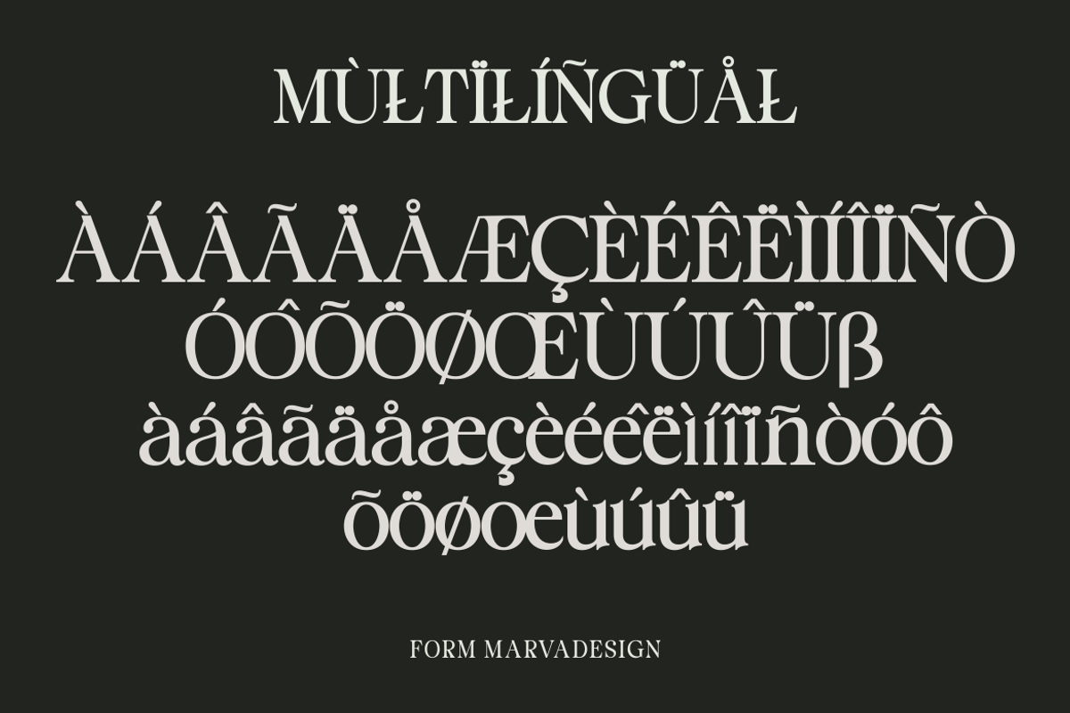 Staller - A Modern Beauty Font, a Serif Font by Marvadesign (Photo 6 of 7)