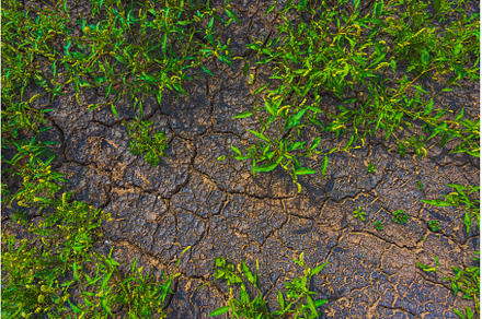 Cracked earth, metaphoric for, an Abstract Photo by Lukas Jonaitis SHOP